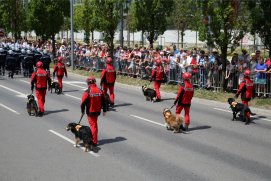 Fédération Nationale des Pompiers